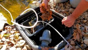 Winterizing Your Pond - The Do's & Dont's to Getting It Right